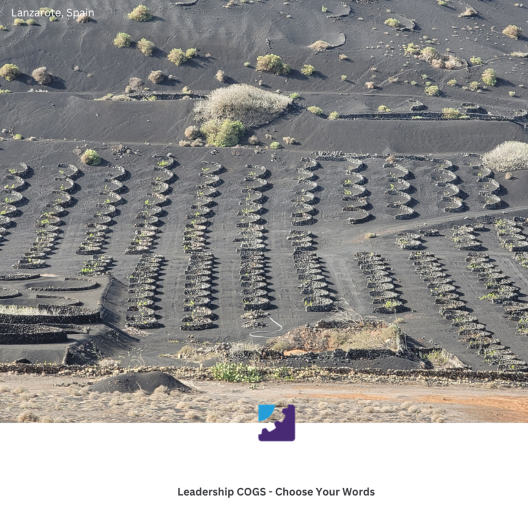 Image of wine growing on the island of Lanzarote, Spain. Choose Your Words